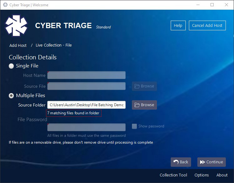 batching_files- Cyber Triage