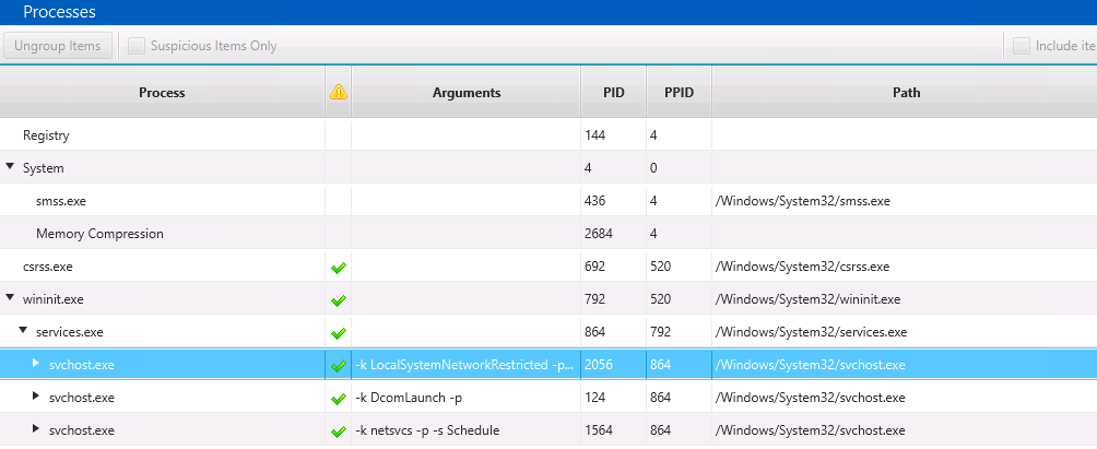 Cyber Triage Lite - Identifying Malware-Malicious Processes Running-1