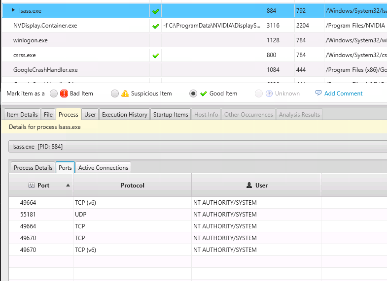 Cyber Triage Lite - Identifying Malware-Malicious Processes Running 2