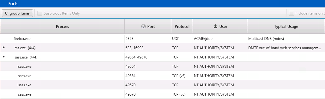 Cyber Triage Lite - Identifying Malware-Ports Listening