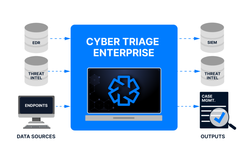 Cyber Triage Enterprise architecture. 
